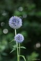_DSC7140