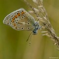 _DSC4925