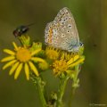 _DSC5024