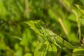 _DSC5058