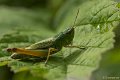 _DSC5068