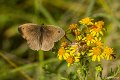_DSC5072