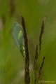 _DSC1740