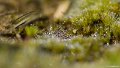 _DSC0559