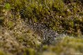 _DSC0567