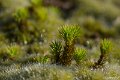 _DSC0572