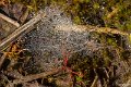 _DSC0581