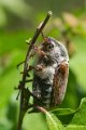 _DSC0627