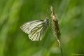 _DSC8609