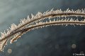 _DSC0029