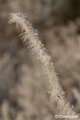 _DSC0031