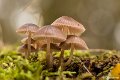 _DSC0019