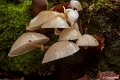 _DSC0129