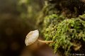 _DSC0177