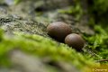 _DSC0182