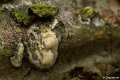_DSC0186