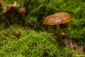 _DSC0207