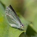 _DSC0052