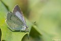 _DSC0055