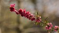 _DSC0353