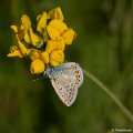 _DSC0046