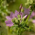 _DSC0047