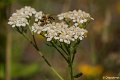 _DSC0077