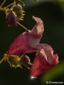P1370314