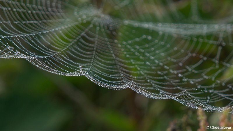 _DSC0168.JPG - 2017-05-25 Huis ter Heide