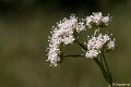 P1340226