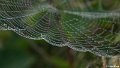 _DSC0168