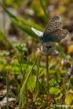 _DSC0421