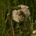 _DSC0166