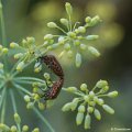 _DSC0030