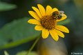 _DSC0058