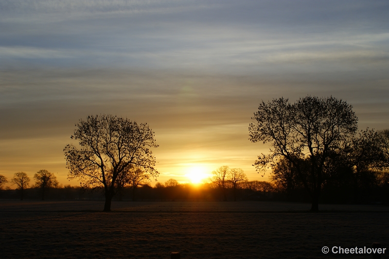 _DSC0024.JPG - Zonsopkomst vlak bij Gilze