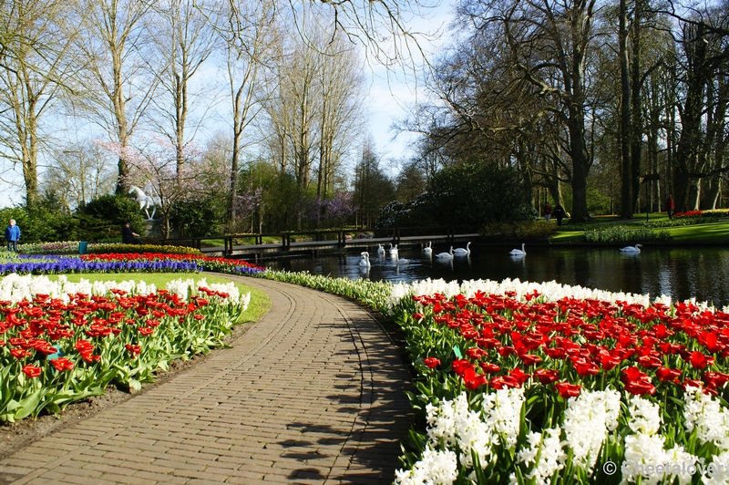 _DSC0097.JPG - Het park