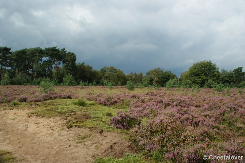 DSC00021.JPG - Dreigende lucht boven de Kampinaheide