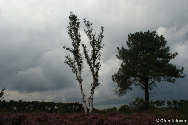 DSC00029.JPG - Dreigende lucht boven de Kampinaheide