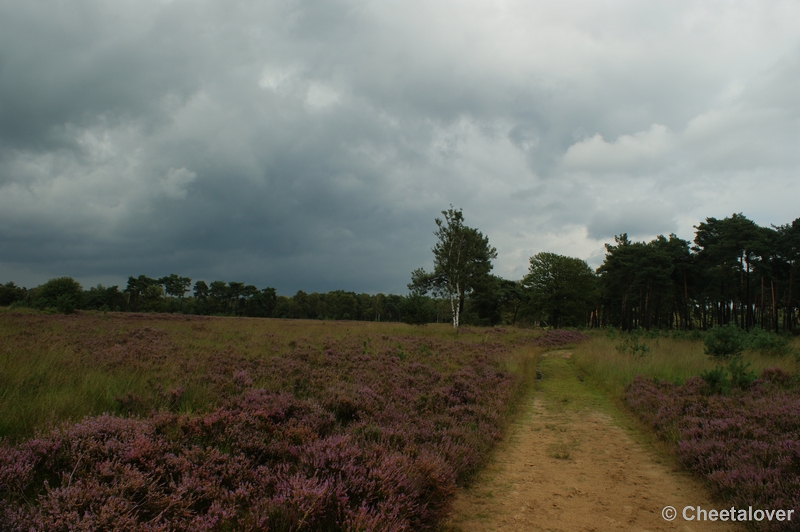 DSC00034.JPG - Dreigende lucht boven de Kampinaheide