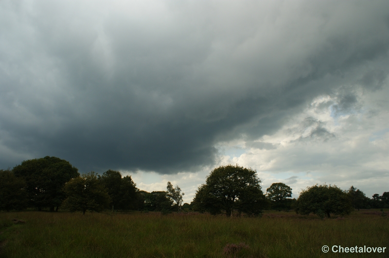 DSC00039.JPG - Dreigende lucht boven de Kampinaheide