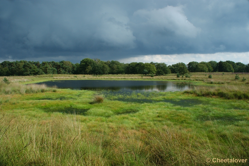 DSC00058.JPG - Dreigende lucht boven de Kampinaheide