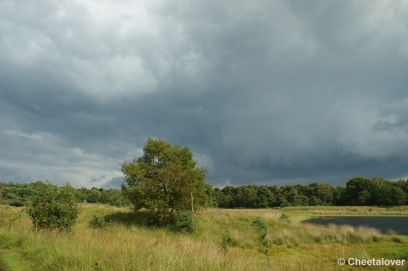 DSC00061.JPG - Dreigende lucht boven de Kampinaheide