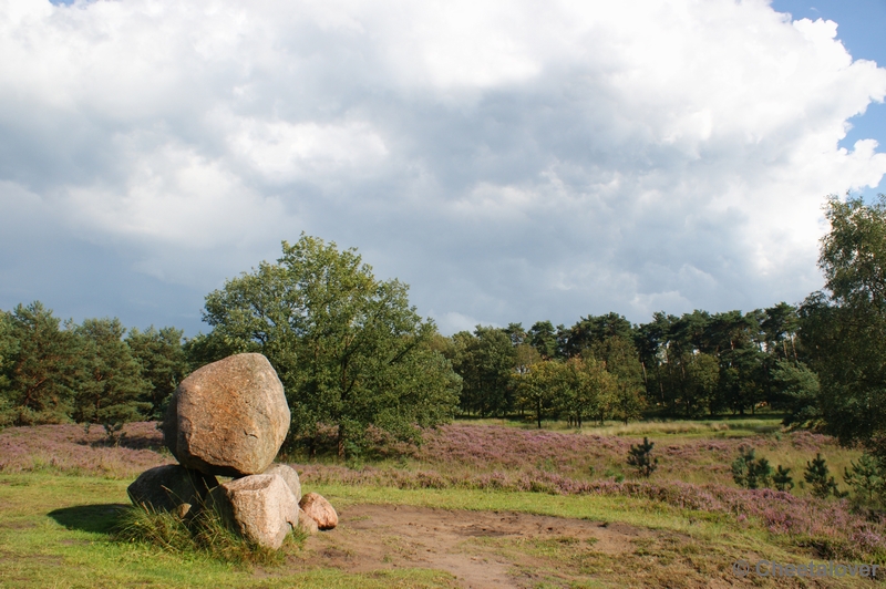 DSC00084.JPG - Kampinaheide