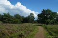 DSC00101