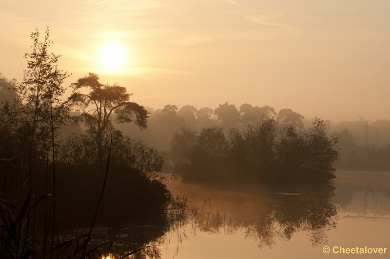 _DSC0050.JPG - Zonsopkomst Oisterwijkse Vennen 3 september 2011