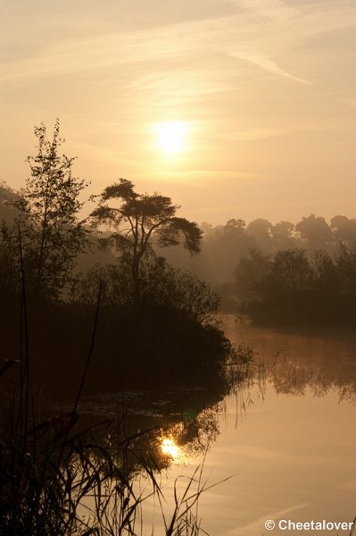 _DSC0056.JPG - Zonsopkomst Oisterwijkse Vennen 3 september 2011