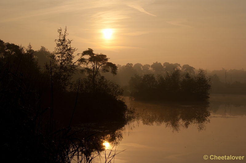 _DSC0059.JPG - Zonsopkomst Oisterwijkse Vennen 3 september 2011