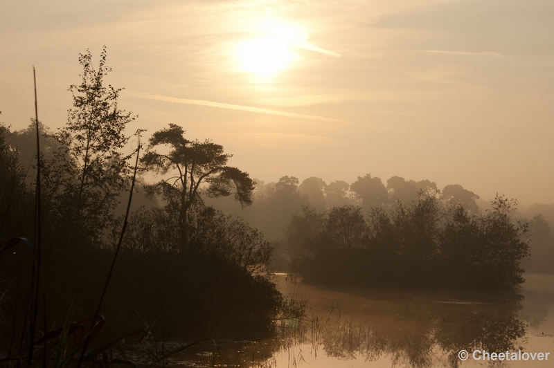 _DSC0100.JPG - Zonsopkomst Oisterwijkse Vennen 3 september 2011