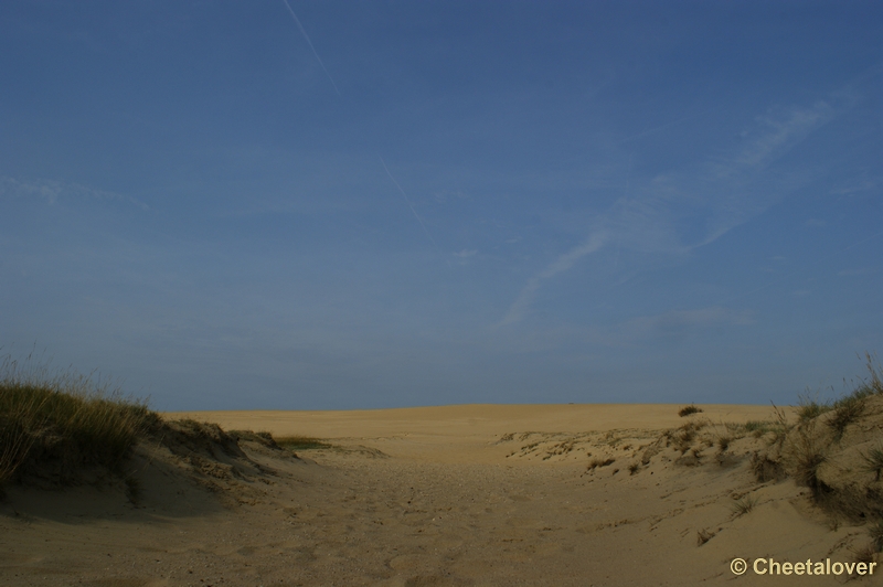 _DSC0016.JPG - Park de Hoge Veluwe 16 september 2011
